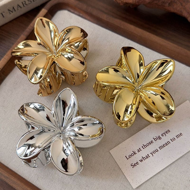 Pince or / argent