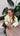 Blazer jaune LYSE - LYBRA COLLECTION