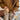 bomber expresso daim camel