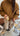 bomber expresso daim camel