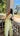 robe Provence jaune 